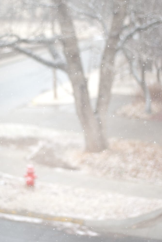 snow from my living room window