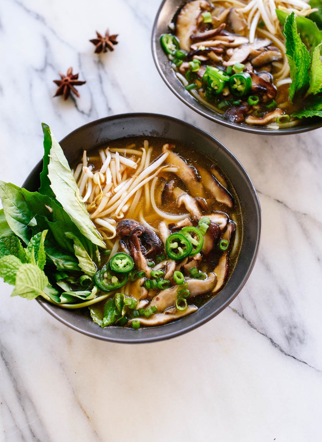 homemade vegetarian pho