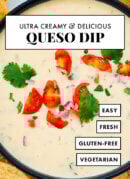Creamy Mexican queso dip recipe